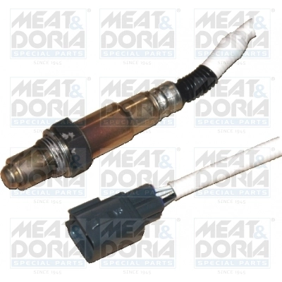 Oxygen Sensor